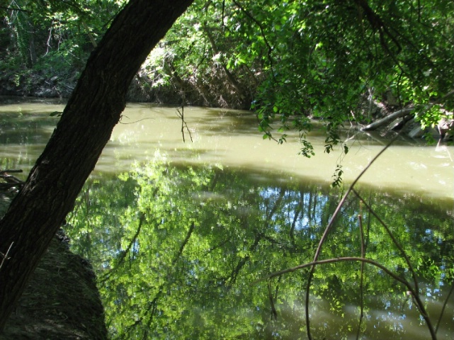 Reflection on the Smokey Hill River - ID: 3272160 © Susan Popp