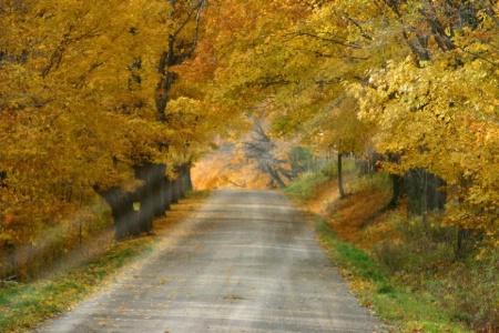 Country Road