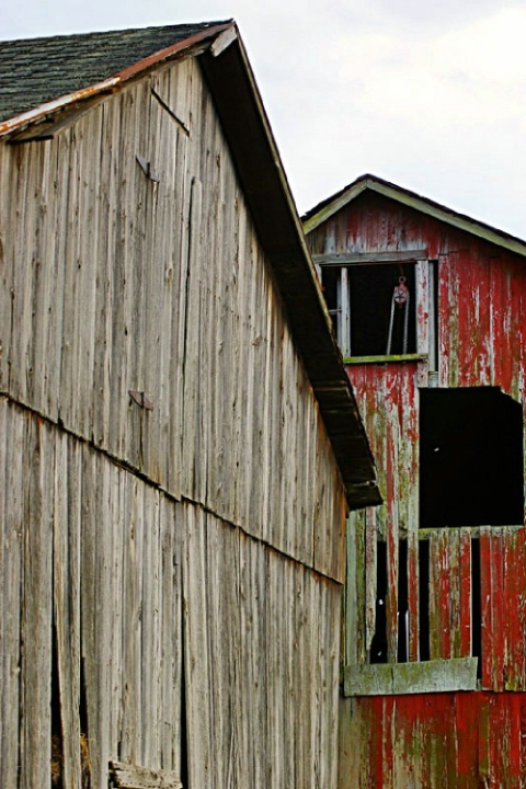 contrasting barns