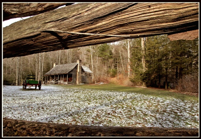 Old Cabin in the Woods - ID: 3289101 © Steve Owen