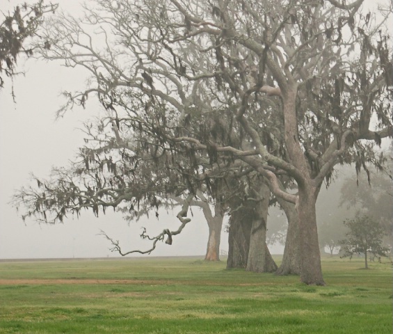 Mandeville Lakefront