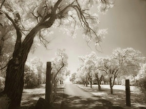 Lane, Molokai