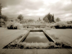 Reflecting Pool