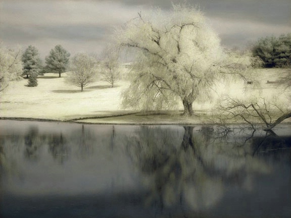 Tree & Pond II