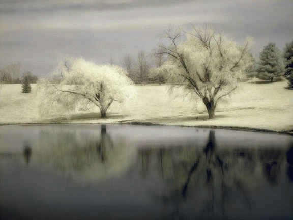 Trees & Pond II