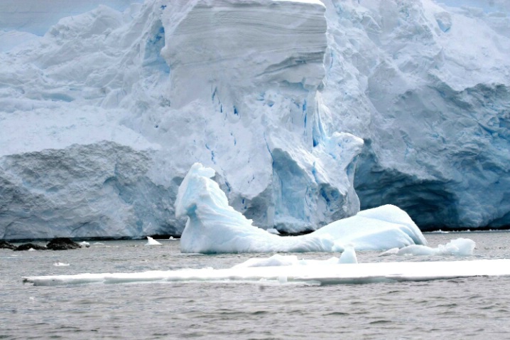 Antarctica-62 - ID: 3295319 © Karen Johnson