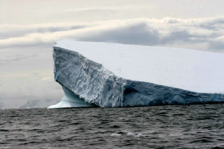 Antarctica-65 - ID: 3295324 © Karen Johnson