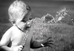 <B>A Sip of Summe...