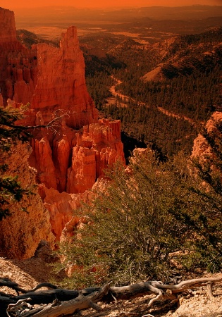 Valley Below