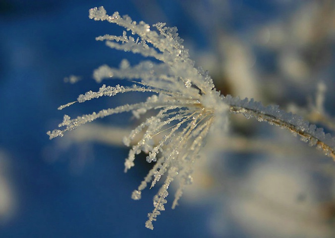 Crystal Fireworks