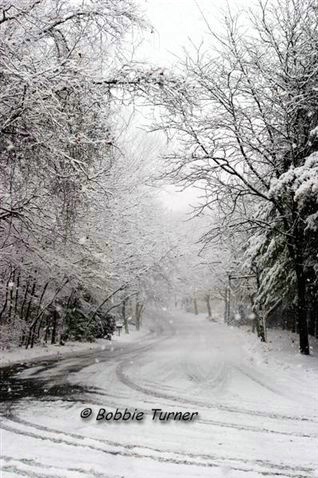 Winter Road - ID: 3309420 © BARBARA TURNER