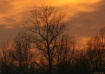 Colors of Sundown