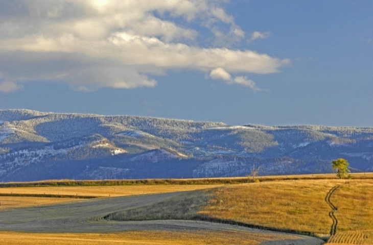 Late Autumn Fields