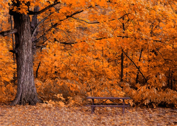 A Picnic in the Autumn Woods