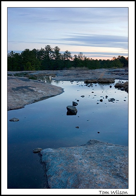 Vernal Pool Before Dawn