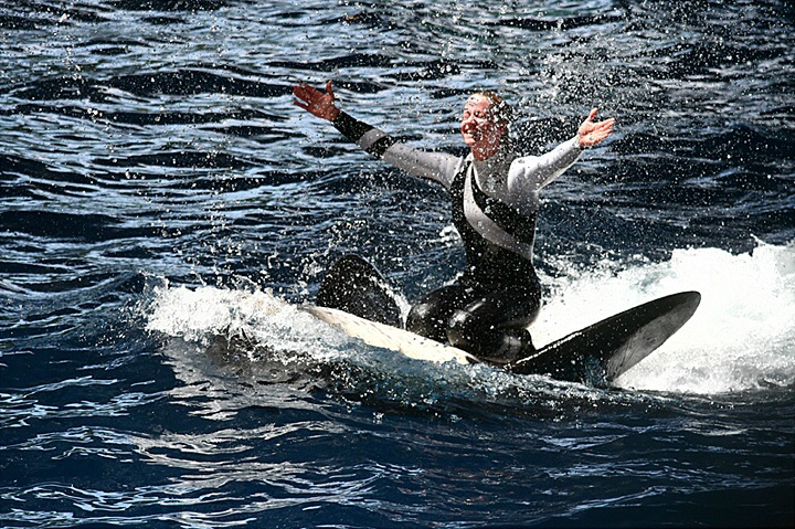 Shamu ride