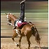 © Endre Balogh PhotoID # 3326002: Antal's Hang