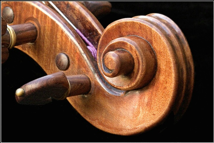 Scroll Down - ID: 3328185 © Endre Balogh