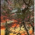 © Endre Balogh PhotoID # 3328936: Sunset Oaks