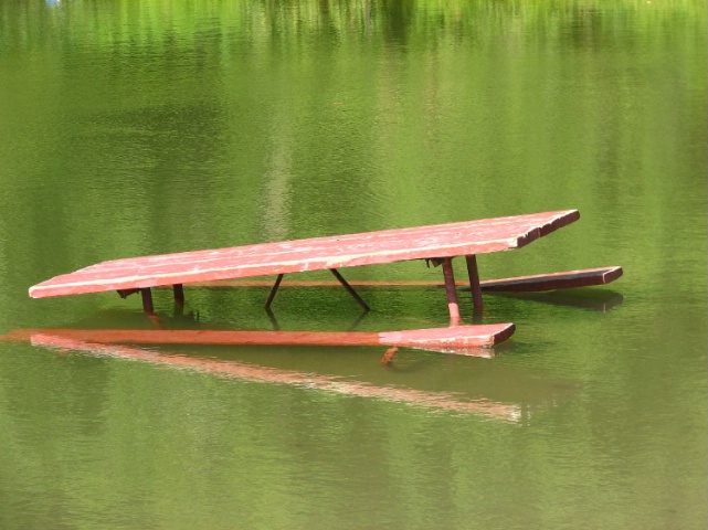 abandoned picnic table