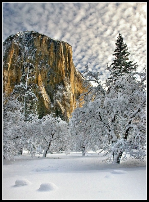 Snow Day in Yosemite