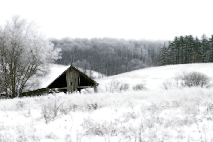 The Snowy Scene