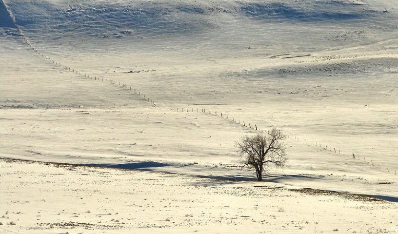 Lonely Boundaries