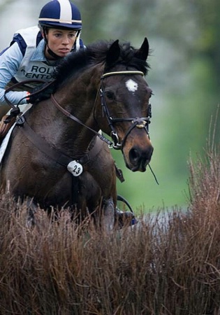 Rolex jumper clearing a brush jump