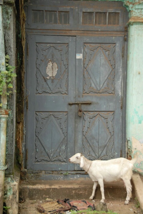 Ancient door and yound kid, Mattancherry, Fort Coc