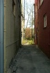 The Alley