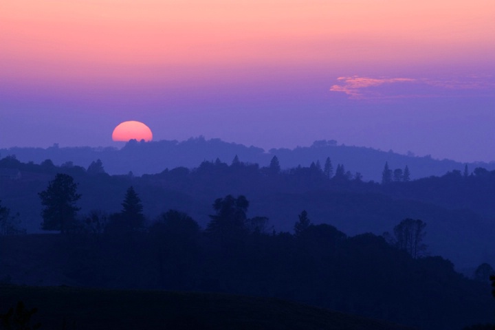 Coral Sunset