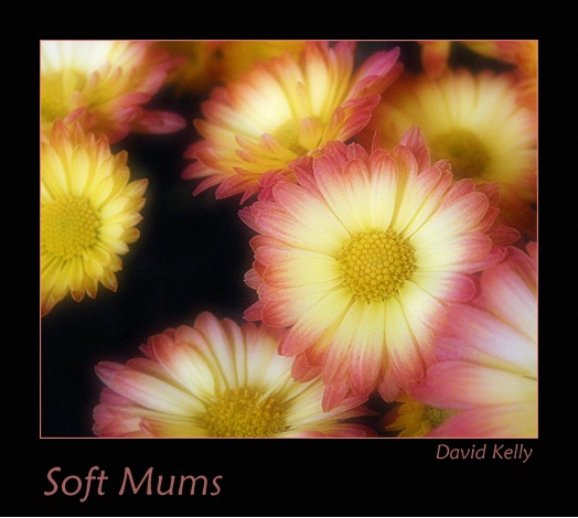 Soft Mums