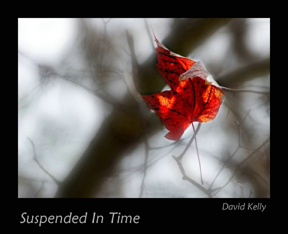 Suspended In Time