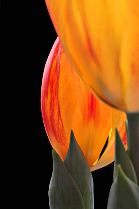 Sunset Colors