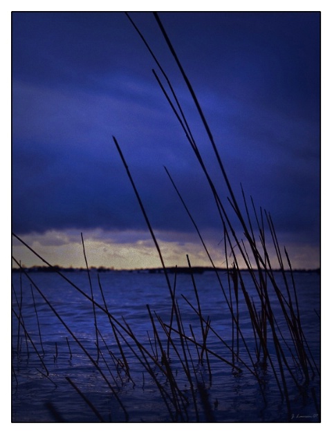 Before the Storm