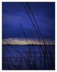 Before the Storm