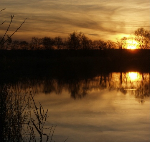 Wetlands Sundown