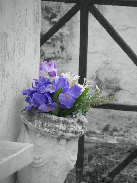 Lavender Flowers for the Dead