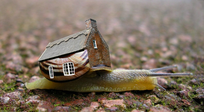 Slow Housing Market.