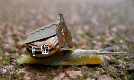 Slow Housing Market.