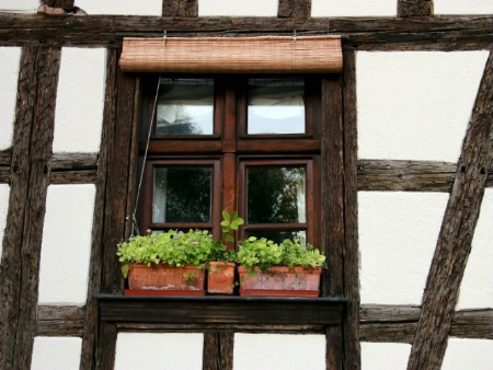 Window in Strasbourg, France