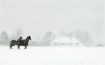 Winter Snowscene ...