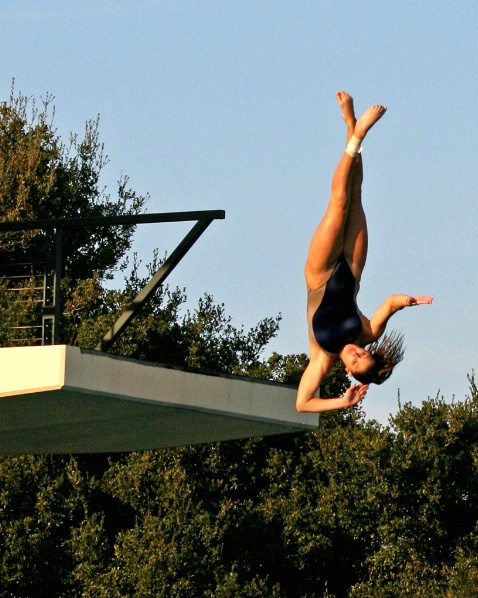 High Dive-Stanford - ID: 3392893 © Claudia/Theo Bodmer