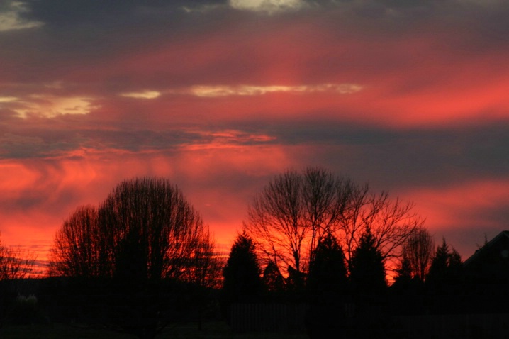 Blazing Sunset - ID: 3395688 © Lisa R. Buffington