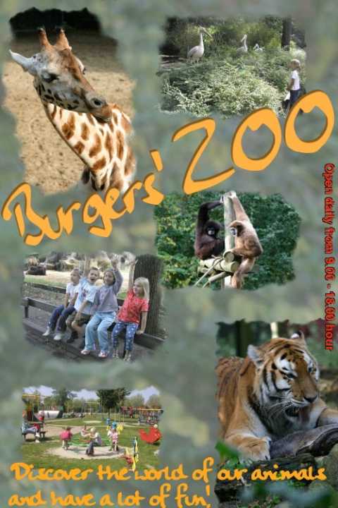 poster for a Zoo