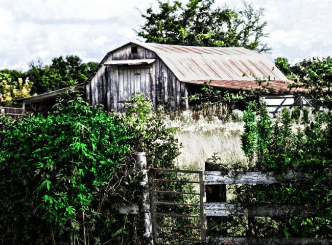 Cuney, Texas