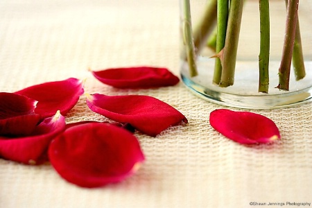 Rose Petals