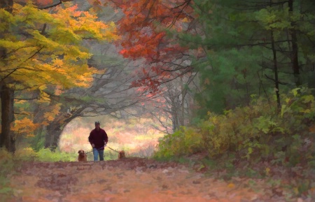 Man's best friend
