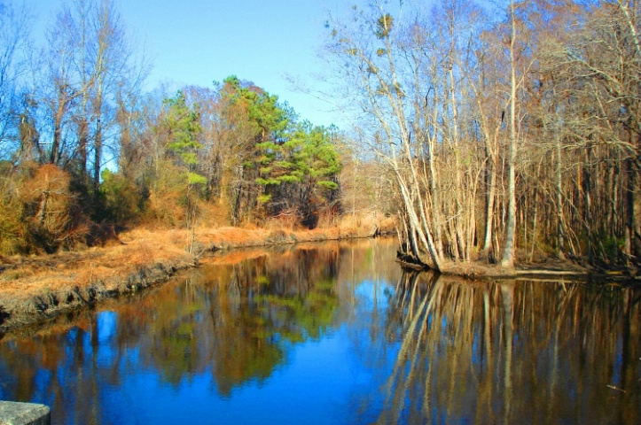 Creek in NC