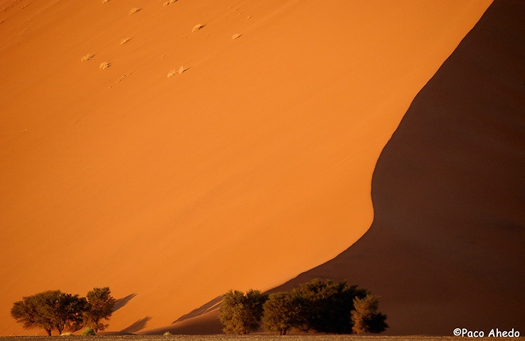 Dune´s base.